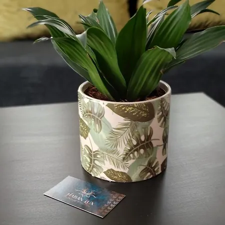 Lux Apartmanhaz Apartament Hévíz